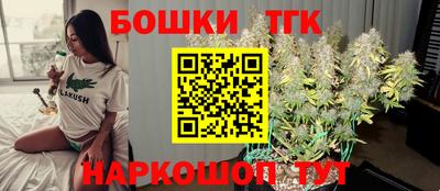 тгк Жуковский