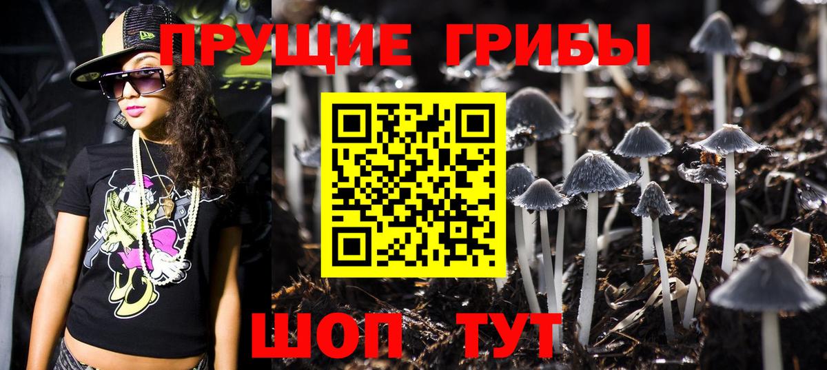 Серпухов  Псилоцибиновые грибы Cubensis  дарнет шоп  Вход с VPN 